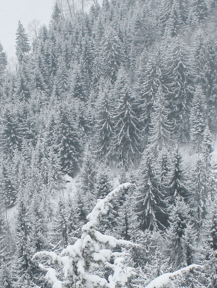 Allgäu im Winter via allaboutrohmy.com